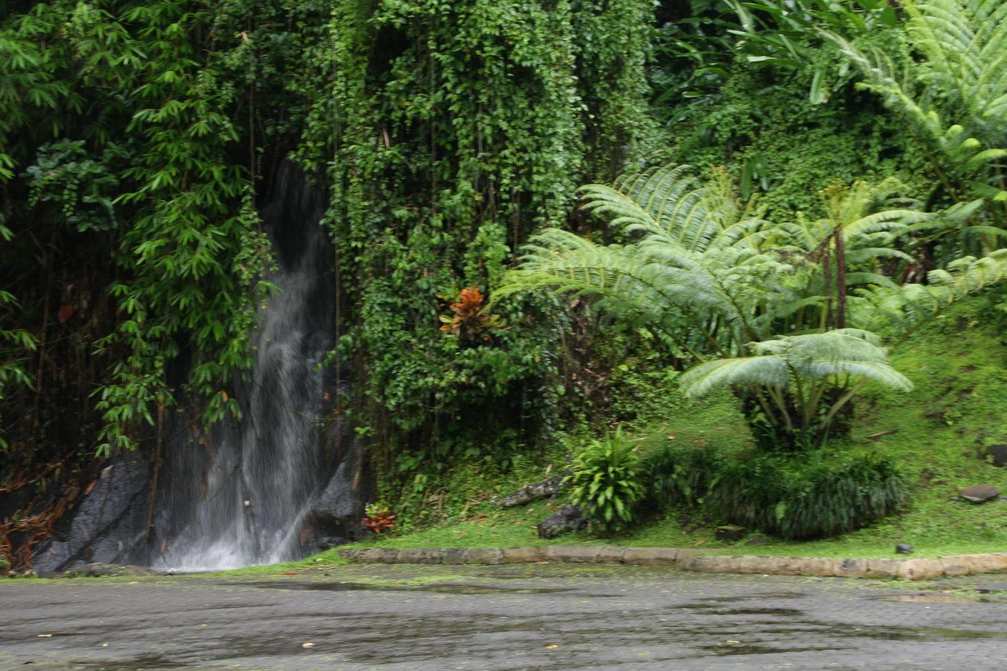 Yeh Panes Bali Hotel Marga Luaran gambar